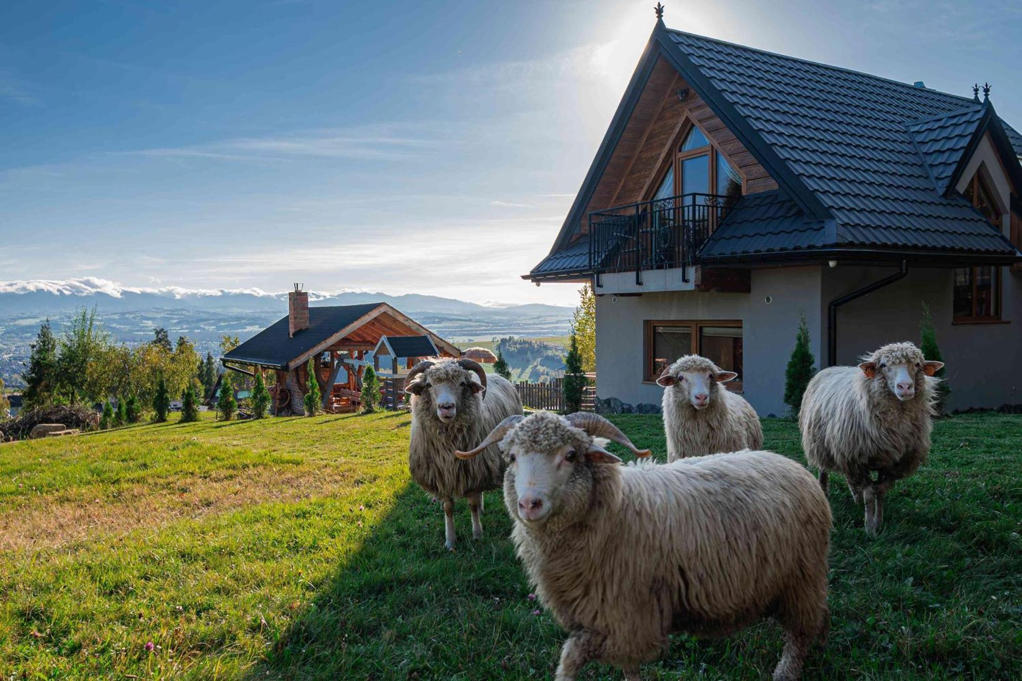 Villa Lesne Zacisze à Nowy Targ Extérieur photo